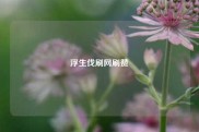 浮生伐刷网刷赞