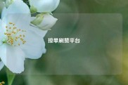 接单刷赞平台