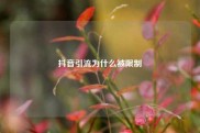 抖音引流为什么被限制