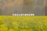 抖音怎么用大量钱运营呢