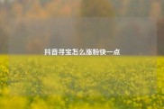 抖音寻宝怎么涨粉快一点