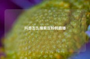 抖音怎么搜索互粉的直播