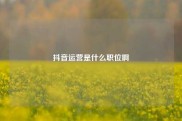 抖音运营是什么职位啊