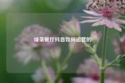 绿茶餐厅抖音如何运营的