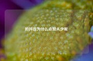 拍抖音为什么点赞人少呢