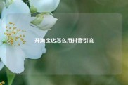 开淘宝店怎么用抖音引流