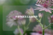 抖音物流怎么运营的好