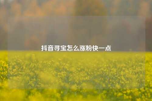 抖音寻宝怎么涨粉快一点