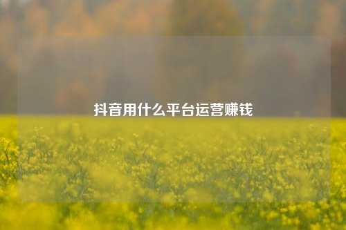 抖音用什么平台运营赚钱