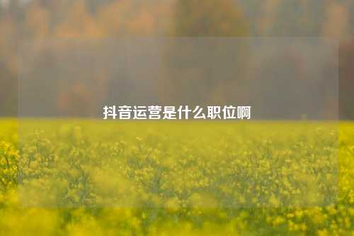 抖音运营是什么职位啊