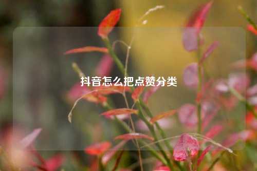 抖音怎么把点赞分类