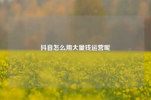 抖音怎么用大量钱运营呢