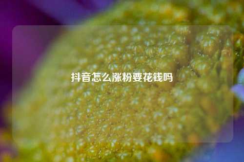 抖音怎么涨粉要花钱吗