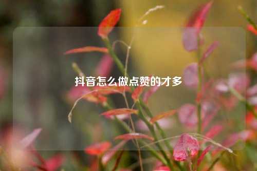 抖音怎么做点赞的才多
