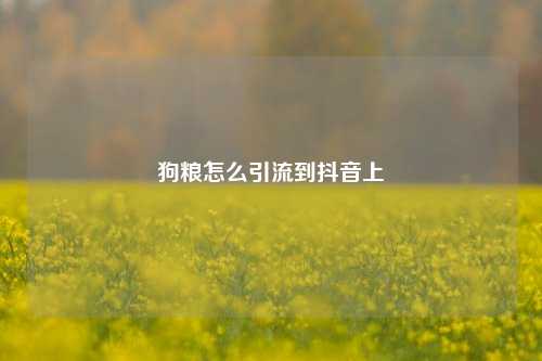 狗粮怎么引流到抖音上