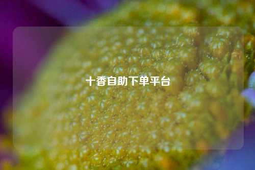十香自助下单平台