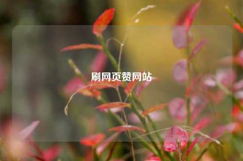 刷网页赞网站