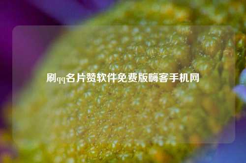 刷qq名片赞软件免费版嗨客手机网