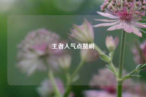 王者人气点赞刷