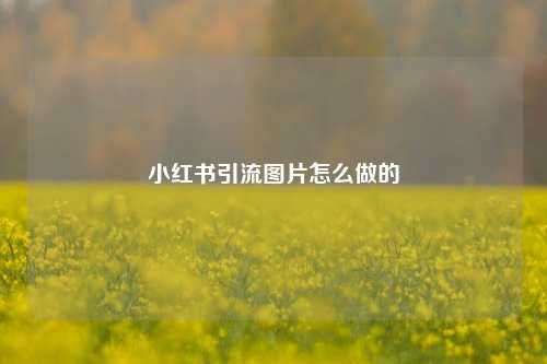 小红书引流图片怎么做的