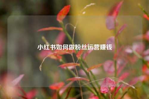小红书如何做粉丝运营赚钱